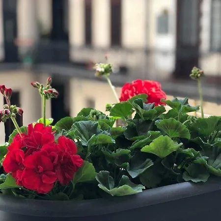 Dolce Vita Rumbach Apartmanhotel